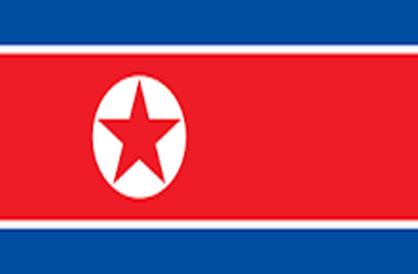 nordkorea-team.gif